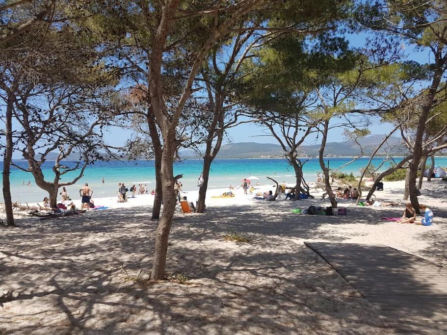 La Perla Bianca - Alghero Lido, Vicino Al Mare Luaran gambar